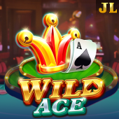Wild Ace lb555 slot